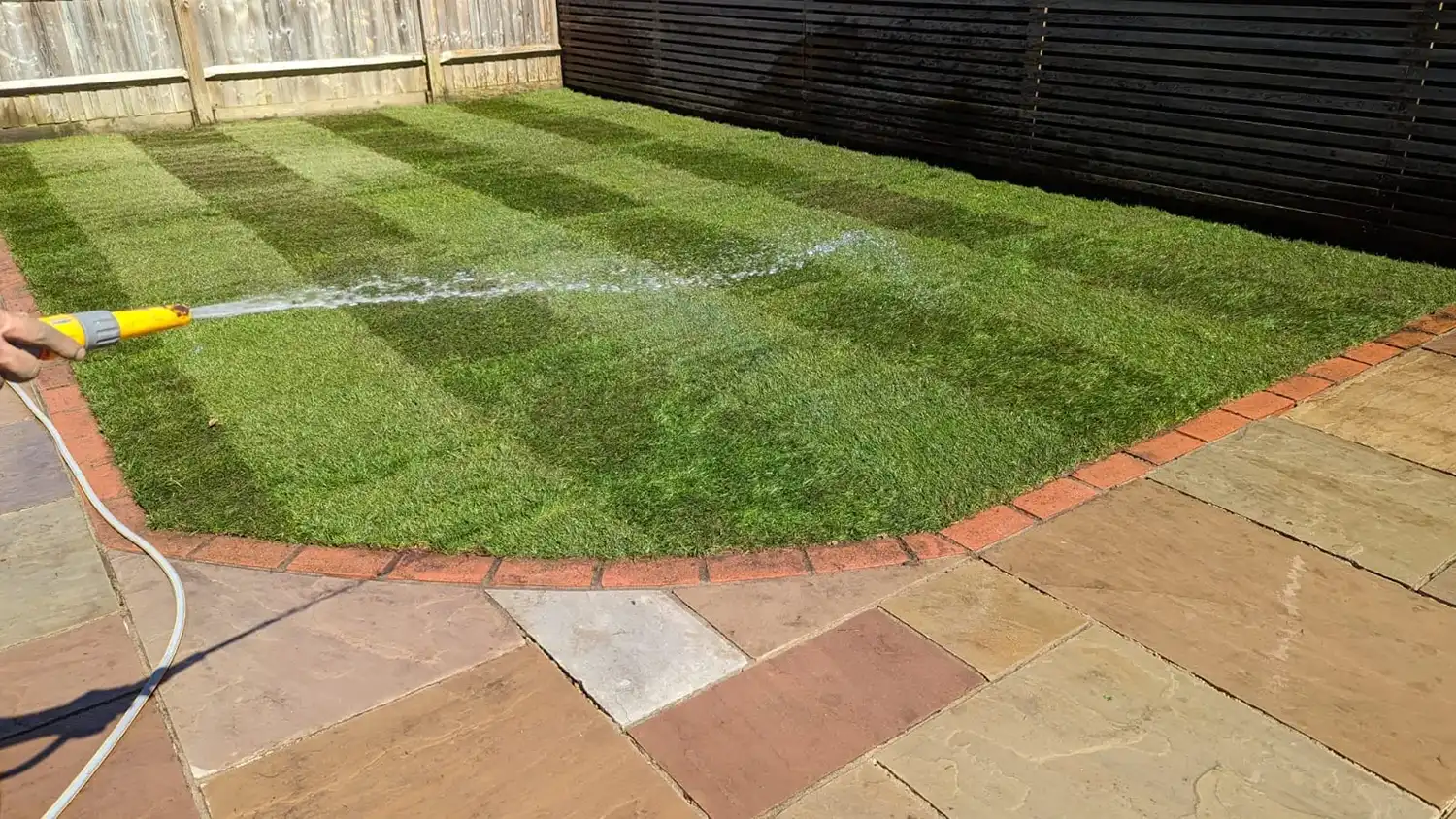 garden after 2
