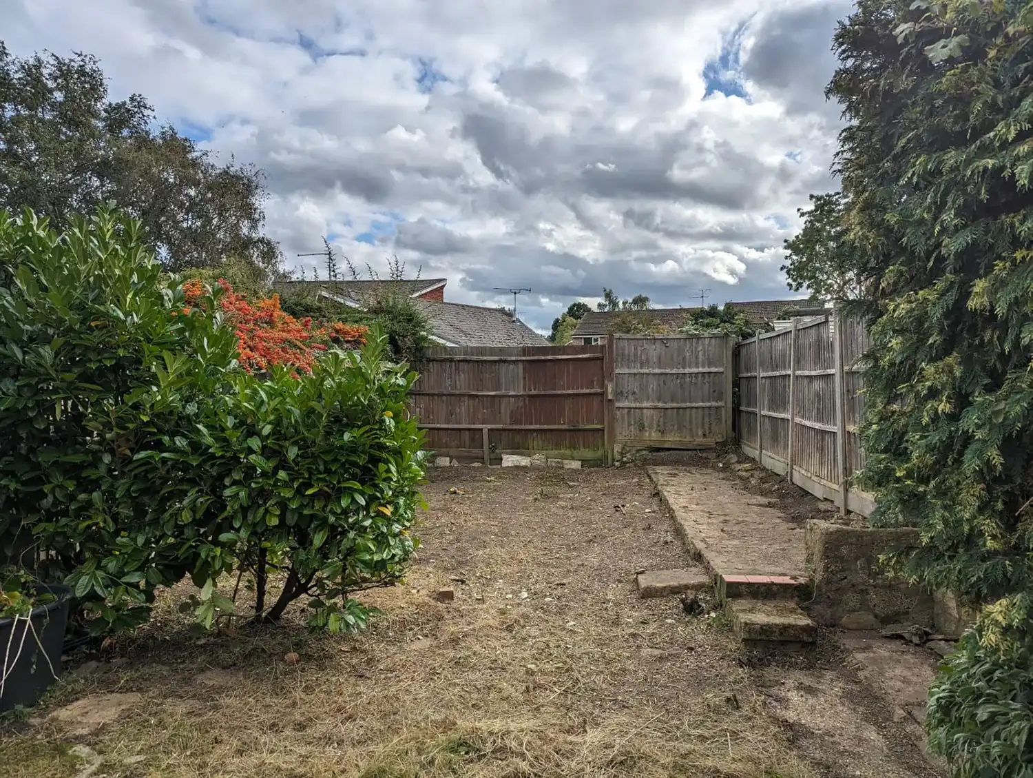 garden after 8