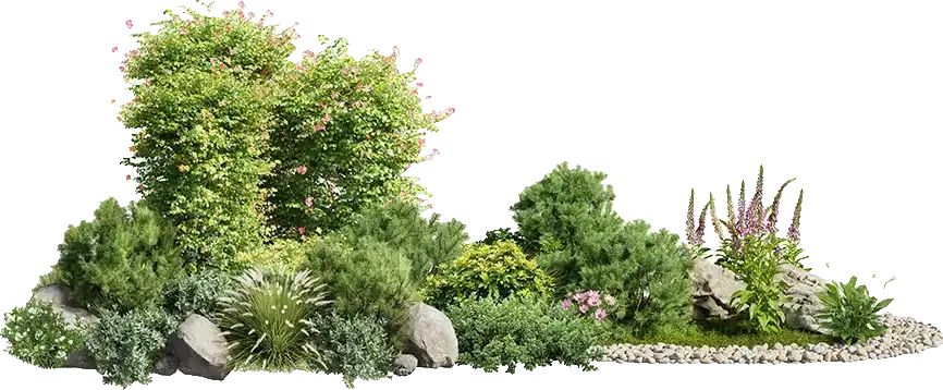 garden clearance