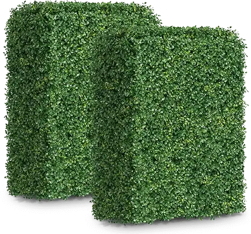 hedge cutting
